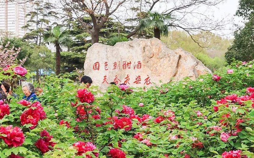 &#20113;&#24320;